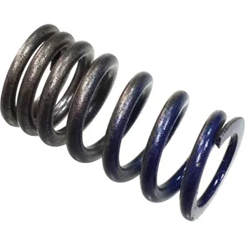 Rozvod motoru PSYCHIC pružina sacího ventilu KAWASAKI KXF 250 04-06, SUZUKI RMZ 250 04-06 (MX-09509IS) (PSYCHIC pružina sacího ventilu KAWASAKI KXF 250 04-06, SUZUKI RMZ 250 04-06 (MX-09509IS))