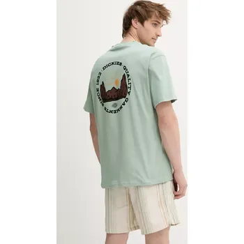 Pánské tričko Bavlněné tričko Dickies pánské, zelená barva, s potiskem, DK0A4Z8PK361 97X, vel. S