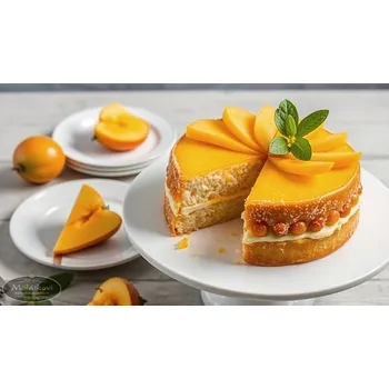 Sušená potravina Ostatní Náplň termostabilní mango - marakuja 500g