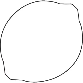 Píst motoru WINDEROSA (VERTEX) těsnění krytu spojky YAMAHA YZ 250 99-19 (O-kroužek) (vnější) (WINDEROSA (VERTEX) těsnění krytu spojky YAMAHA YZ 250 99-19 (O-kroužek) (vnější))