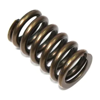 Rozvod motoru PSYCHIC pružina sacího ventilu KAWASAKI KXF 450 06-17, KFX 450R 08-14, KLX 450R 08-17 (MX-09528IS) (PSYCHIC pružina sacího ventilu KAWASAKI KXF 450 06-17, KFX 450R 08-14, KLX 450R 08-17 (MX-09528IS))