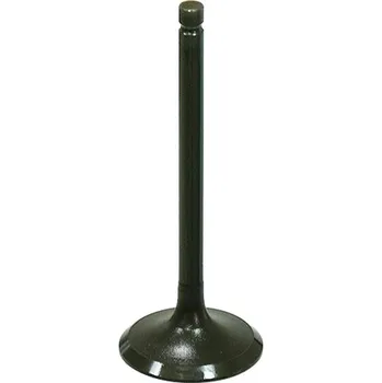 Rozvod motoru BRONCO výfukový ventil YAMAHA YFM700 GRIZZLY 16-18, YFM 700 KODIAK 16-18, WOLVERINE 700 16-18 ocelový (31,99X5,45X82,9mm) (OEM:2MB-E2111-00-00) (BRONCO výfukový ventil YAMAHA YFM700 GRIZZLY 16-18, YFM 700 KODIAK 16-18, WOLVERINE 700 16-18 ocelový)