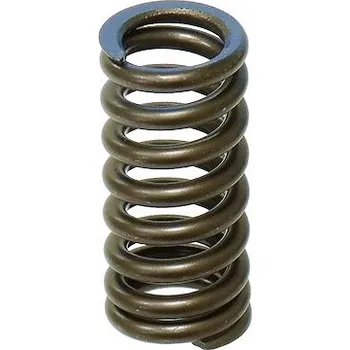 Rozvod motoru PSYCHIC pružina sacího ventilu HONDA CRF 250R 16-17 (PSYCHIC pružina sacího ventilu HONDA CRF 250R 16-17)