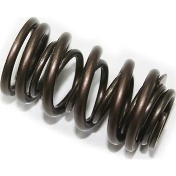 Rozvod motoru PSYCHIC pružina výfukového ventilu HONDA CRF 450X 05-16, TRX 450R 06-09, 450ER 07-14 (MX-09537ES) (PSYCHIC pružina výfukového ventilu HONDA CRF 450X 05-16, TRX 450R 06-09, 450ER 07-14 (MX-09537ES))