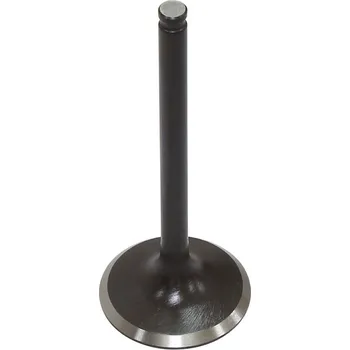 Rozvod motoru PSYCHIC výfukový ventil KAWASAKI KXF 450 (KX 450F) 16 ocelový (12005-0756) (PSYCHIC výfukový ventil KAWASAKI KXF 450 (KX 450F) 16 ocelový (12005-0756))