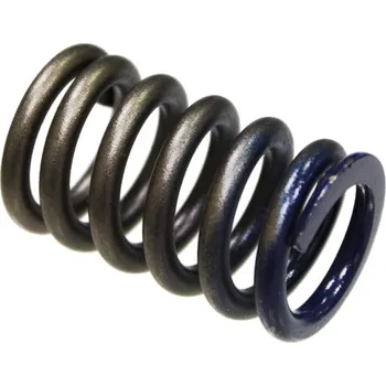 Rozvod motoru PSYCHIC pružina sacího ventilu HONDA CRF 450R 02-08, TRX 450R 06-09 (MX-09502IS) (PSYCHIC pružina sacího ventilu HONDA CRF 450R 02-08, TRX 450R 06-09 (MX-09502IS))