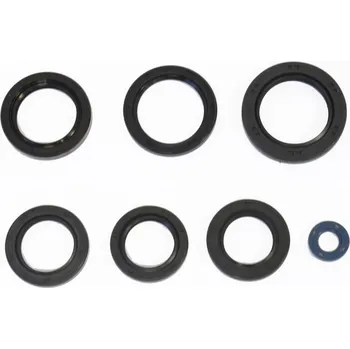 Automobilové těsnění ATHENA sada gufer motoru KAWASAKI KVF360 PRAIRIE`03-13, KFX700`04-09 (ATHENA sada gufer motoru KAWASAKI KVF360 PRAIRIE`03-13, KFX700`04-09)