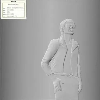 Zahraniční hudba Lou Reed - Metal Machine Music (2LP, 19802882411)