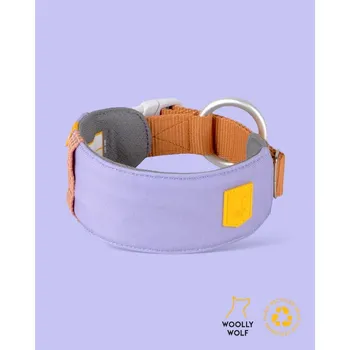 Obojek pro psa OBOJEK LAVENDER L