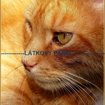 Panel kočárkovina - KČ-39 Velikost: 30x30cm