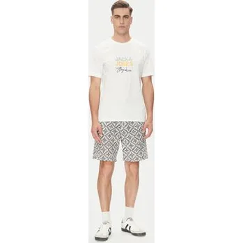 Pánské tričko Jack & Jones T-Shirt Canggu 12281809 Bílá Regular Fit M