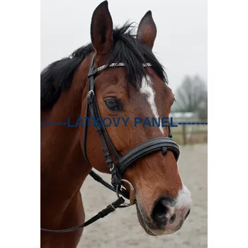 Panel kočárkovina - KN-35 Velikost: 30x20cm