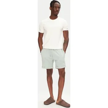 Dámské kraťasy Only & Sons Šortky z materiálu New Kodyl 22033722 Zelená Regular Fit S