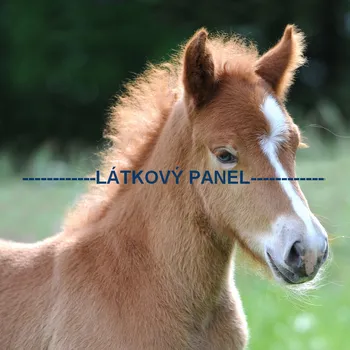 Panel kočárkovina - KN-25a Velikost: 20x20cm