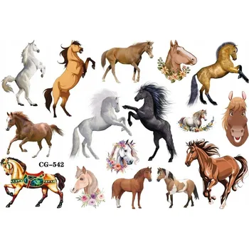 Odstranitelné tetování Smyvatelné Dočasné Tetování pro Děti Koně a Poníci