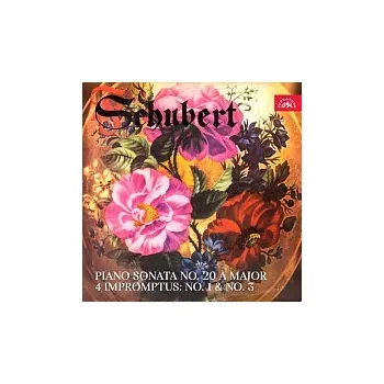 Česká hudba Pavel Štěpán – Schubert: Sonáta pro klavír č. 20 A dur, Impromptu č. 1 a č. 3