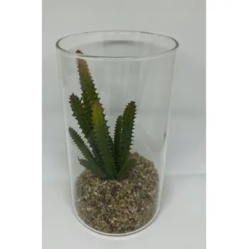 umělá květina Umělý kaktus ve skleněné váze