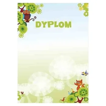 Set školních potřeb Dyplom A4 Bajka 170g op. 25 ark., Galeria Papieru