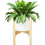 Dřevěný stojan na květiny 35 cm, přírodní SPRINGOS QAURTER