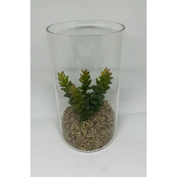 umělá květina Umělý kaktus ve skleněné váze