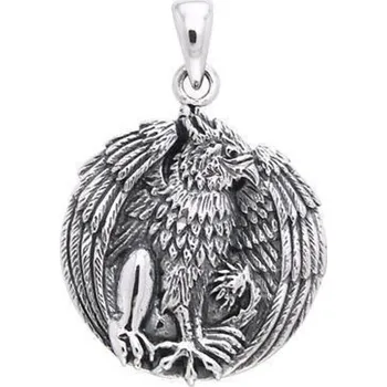 Přívěsek GRYF, stříbrný talisman, Ag 925