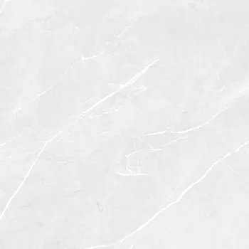 Dlažba Touch Frost - dlaždice rektifikovaná 59,8x59,8 světle šedá DAK62902