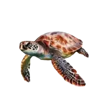 samolepka Samolepky - mořský svět II (sada 5 ks)