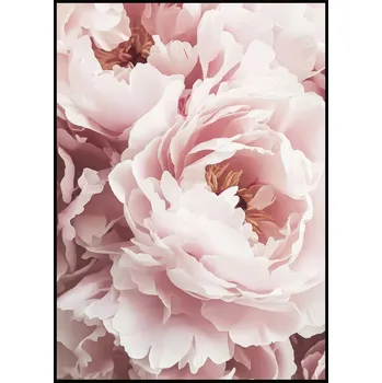 Plakát Jen tak z lásky Plakát Pivoňka II Rozměr plakátu: A4 (21 x 29,7 cm)