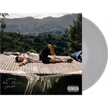 Zahraniční hudba JXDN: When The Music Stops - Vinyl (LP)