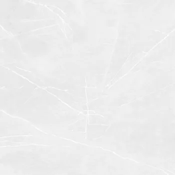 Obklad Touch Frost - dlaždice rektifikovaná 119,8x119,8 světle šedá DAK92902