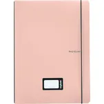 Karton P+P Sešit s vyměnitelnou náplní Oxybook 544 PASTELINI meruňková