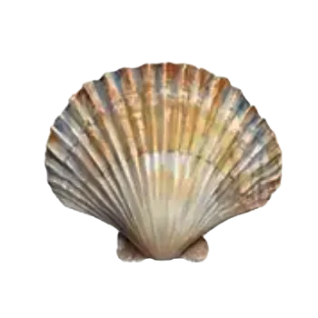 samolepka Samolepky - mořský svět X (sada 5 ks)