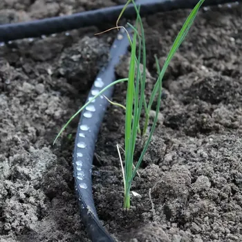 Zahradní hadice Irrigatia Rozšiřující sada s plochou porézní hadicí (25 m)