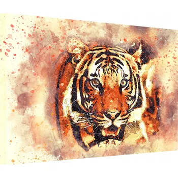 Obraz OBRAZ 100x80 TYGR AFRIKA