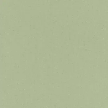 Tapeta RASCH | Vliesová tapeta na zeď Allegretto 423938 | 0,53 x 10,05 m | zelená + Zelená vliesová tapeta na stěnu 423938 v rozměru 0,53 x 10,05 m