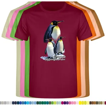 Dívčí tričko detske-levne-bavlnene-tricko-potisk-tucnak-cisarsky Barva: Burgundy - vínová, Dětská bavlněná trička JHK: S