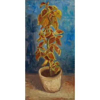 Plakát Plakát, Obraz - Flower, 1886, Gogh, Vincent van