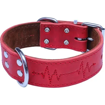 Obojek pro psa BAFPET Kožený obojek EKG - Červená Varianta: Červená - 40mm x 60cm /42-52/ 07162E