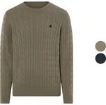 LIVERGY® Pánský svetr