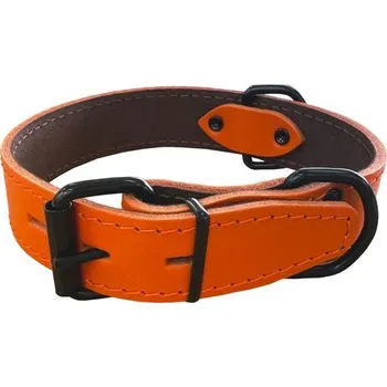 Obojek pro psa BAFPET Obojek HERRY, obšitý, černé kování - Oranžová