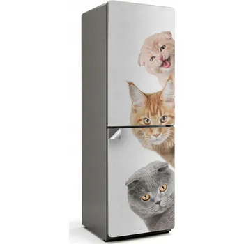 Fototapeta Samolepicí Samolepka Na Ledničku na ledničku do kuchyně - roztomilé kočky ve frontě