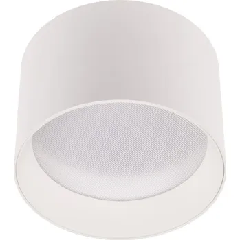Bílé stropní LED svítidlo Alexo 120mm 12W IP54 CCT stmívatelné - T-LED - 105140 - 105140