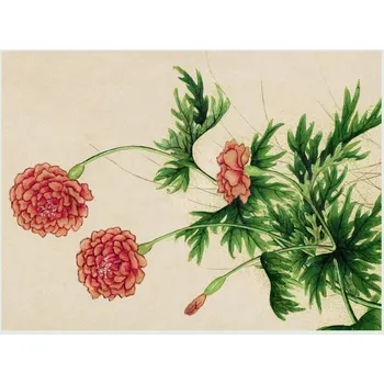 Plakát Plakát, Obraz - Spring Peonies, Zhang Ruoai