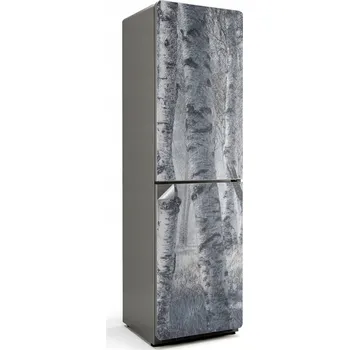 Fototapeta Samolepicí samolepka na ledničku Snadná Aplikace Mlhavý březový les