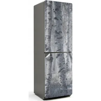 Fototapeta Ochranná Dekorativní Nálepka na Ledničku Výtisk Mlhavý Březový Les