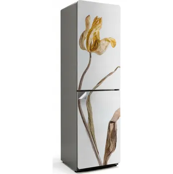 Fototapeta Samolepka Wallfluent 60 x 205 cm