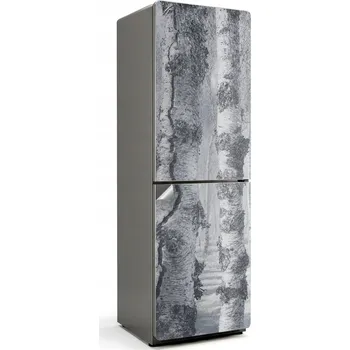 Fototapeta Samolepicí nálepka na ledničku Snadné čištění Zamlžený březový les