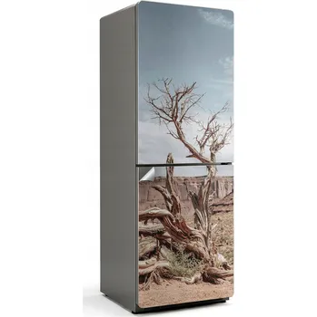 Fototapeta Ochranná samolepka na ledničku Samolepicí Fólie Kroucený kmen stromu