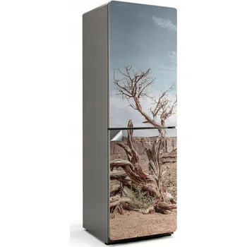 Fototapeta Foto Nálepka Dekorativní Samolepicí na Lednici Zkroucený kmen stromu