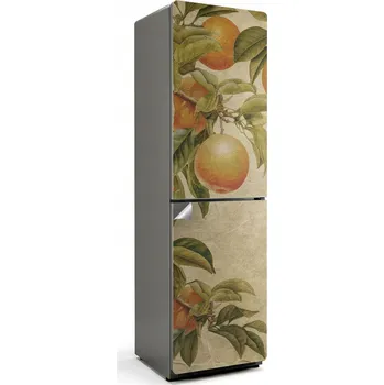 Fototapeta Samolepka na ledničku Samolepicí Ochranná Omyvatelná Větve s ovocem